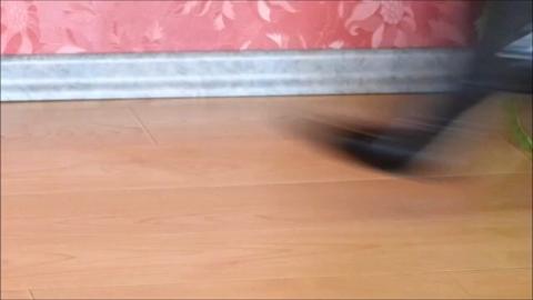 3981